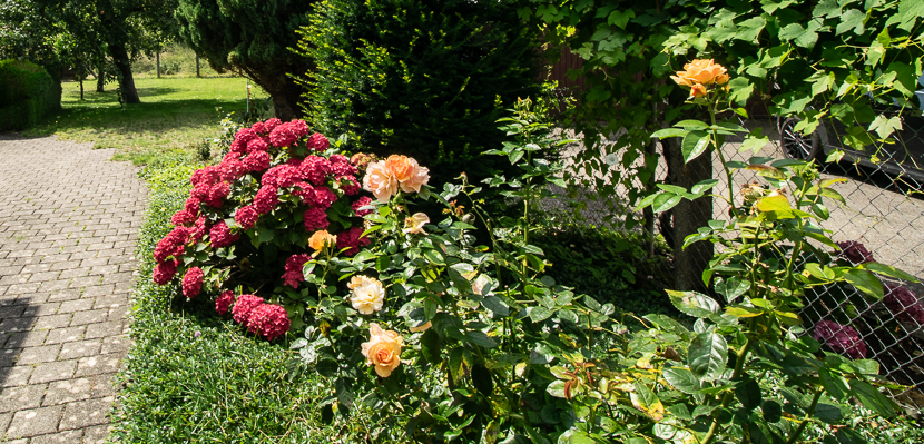 gepflegte Blumen und B�sche Doppelhaush�lfte Aichwald