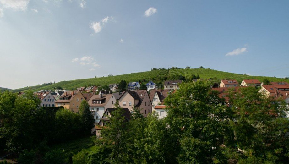 Blick aus dem Schlafr�umen auf die Weinberge Etagenwohnung Stuttgart