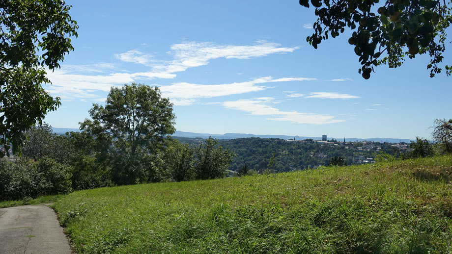 Der Weg in die Stadt hinunter Erdgeschosswohnung Esslingen-Neckarhalde