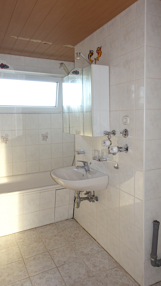 Tageslicht-Bad Wohnung Stuttgart-Neugereut