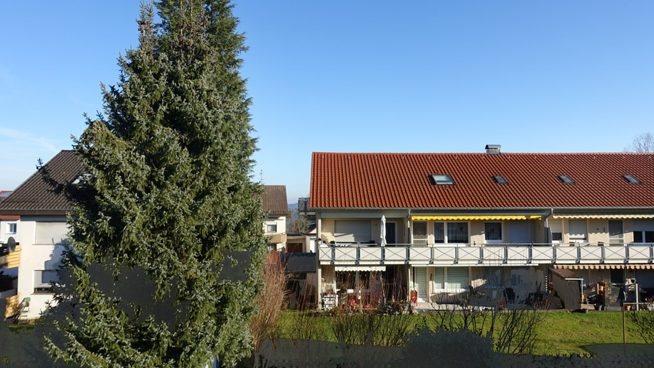 Blick aus dem Fenster ins Gr�ne Etagenwohnung Baltmannsweiler