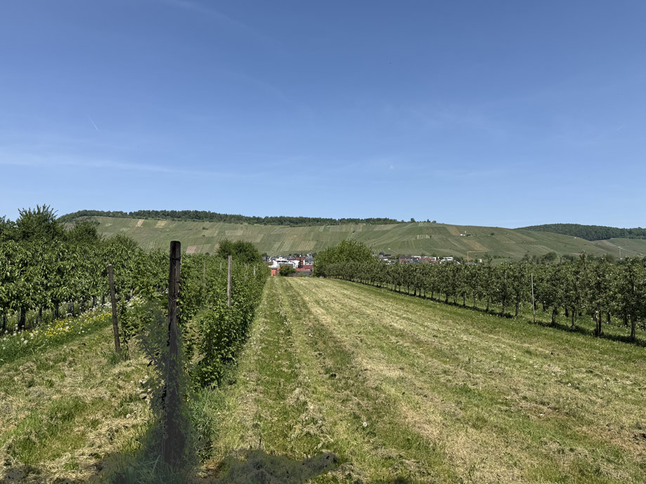Weinberge Etagenwohnung Weinstadt-Grossheppach