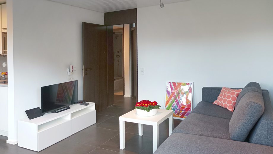 mit Sofa und TV Wohnung Aichwald-Krummhardt