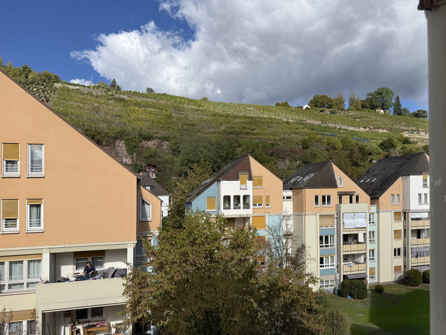 Aussicht auf die Weinberge Wohnung Esslingen-Mitte