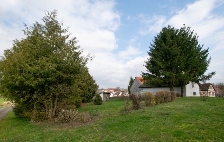 Wiese und Gem�segarten hinter dem Haupthaus Bauernhaus Kirchberg