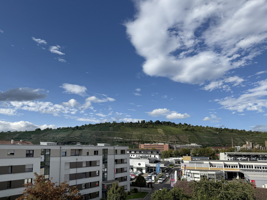 Ausblick zu den Weinbergen Penthousewohnung Esslingen-Gr�ne H�fe