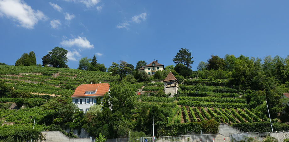 Der Weg in die Stadt hinunter Erdgeschosswohnung Esslingen-Neckarhalde