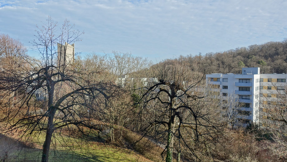 Ausblick zum Kr�herwald Wohnung Stuttgart