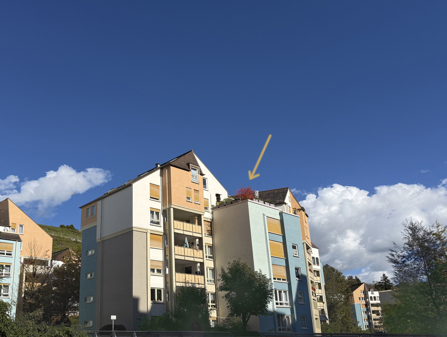 Penthouse-Feeling Wohnung Esslingen-Mitte