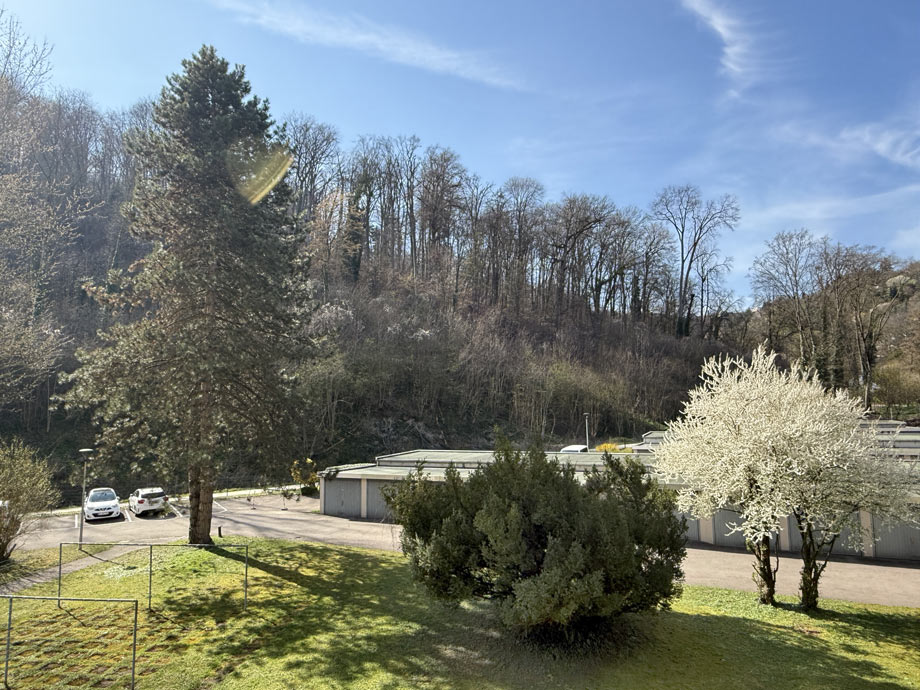 Aussicht vom Balkon Wohnung Esslingen-Weil